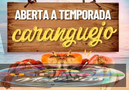 Captura do caranguejo-uçá no Paraná é autorizada a partir desta sexta-feira, mas com restrições
