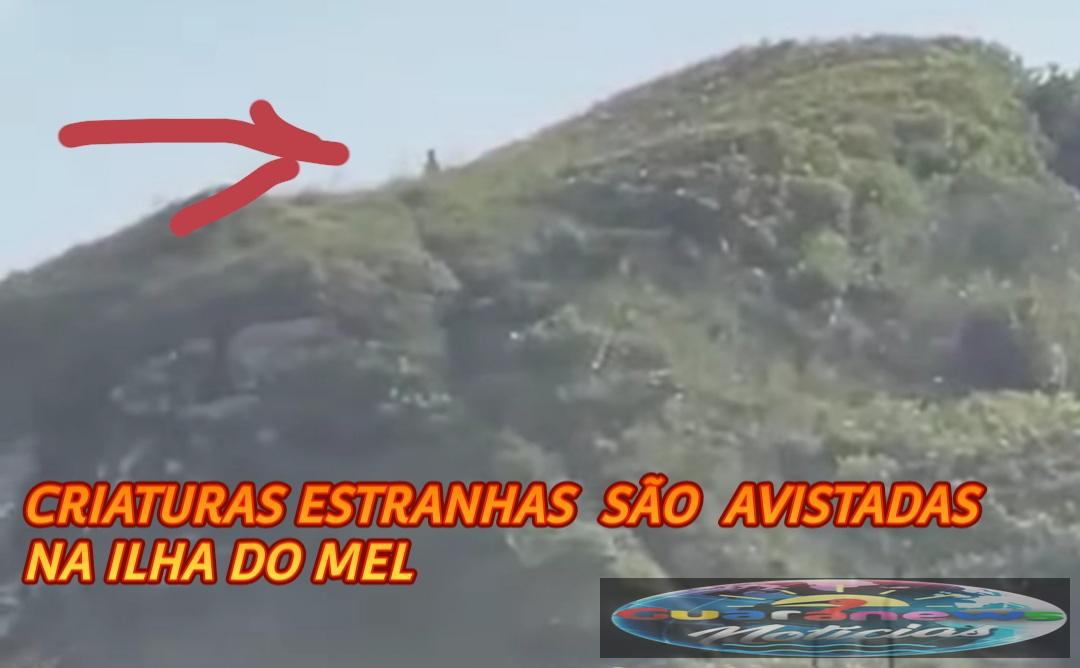 ESTRANHAS CRIATURAS